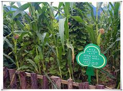 金沙990线路检测(集团)有限公司官网