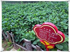 金沙990线路检测(集团)有限公司官网