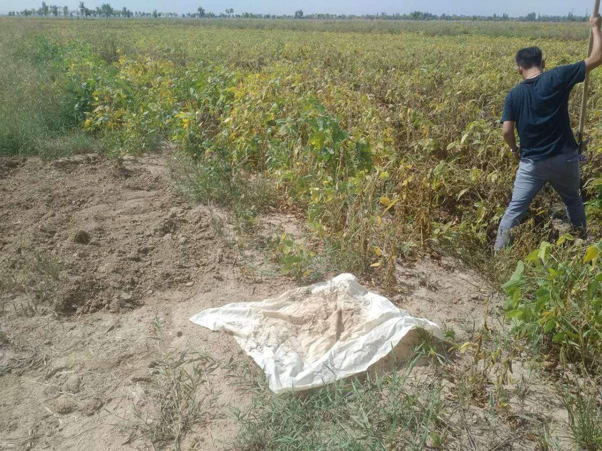 金沙990线路检测(集团)有限公司官网