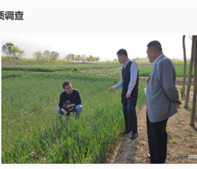 202012081644192357_280x240