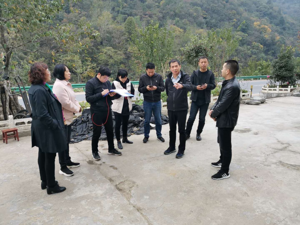 金沙990线路检测(集团)有限公司官网