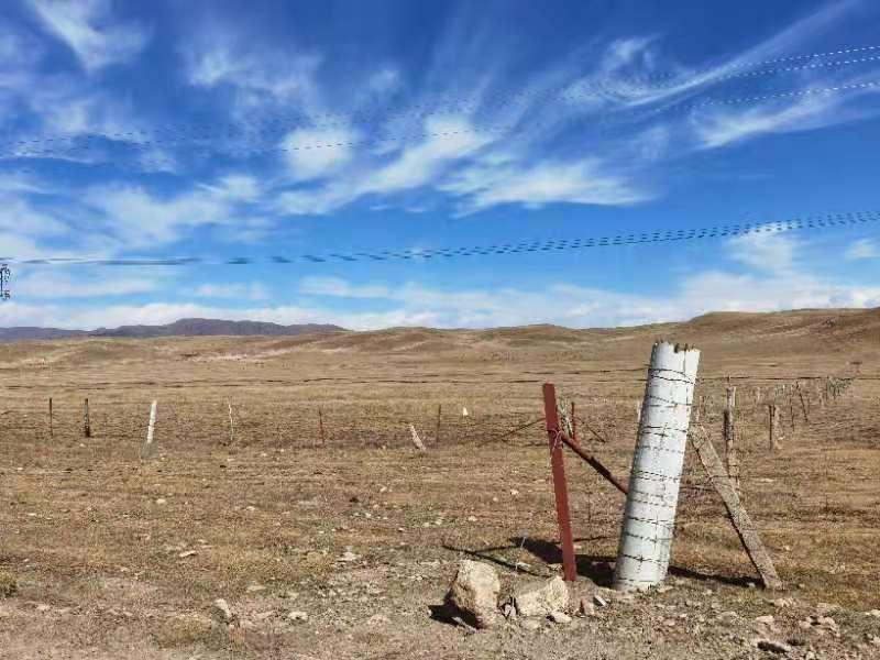 金沙990线路检测(集团)有限公司官网