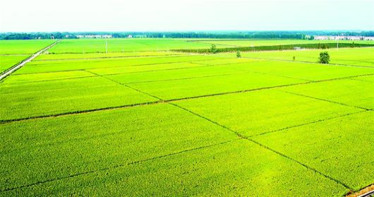 金沙990线路检测(集团)有限公司官网