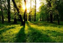 金沙990线路检测(集团)有限公司官网