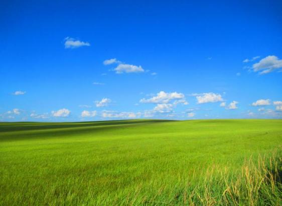 金沙990线路检测(集团)有限公司官网