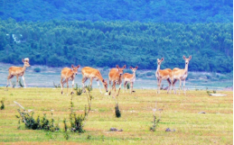 金沙990线路检测(集团)有限公司官网