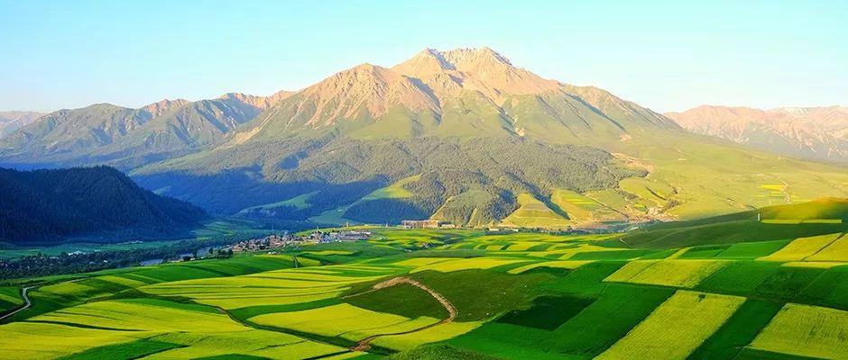 金沙990线路检测(集团)有限公司官网