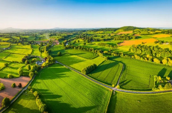 金沙990线路检测(集团)有限公司官网