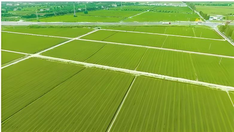 金沙990线路检测(集团)有限公司官网